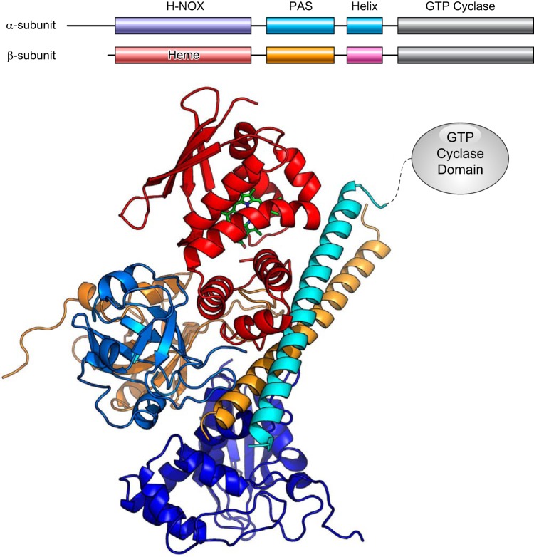 FIGURE 4.