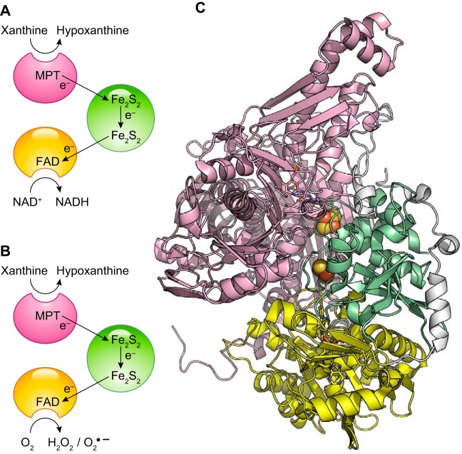 FIGURE 15.