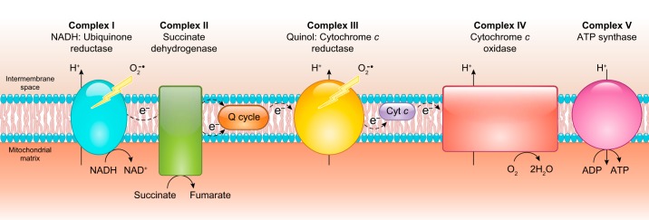 FIGURE 13.