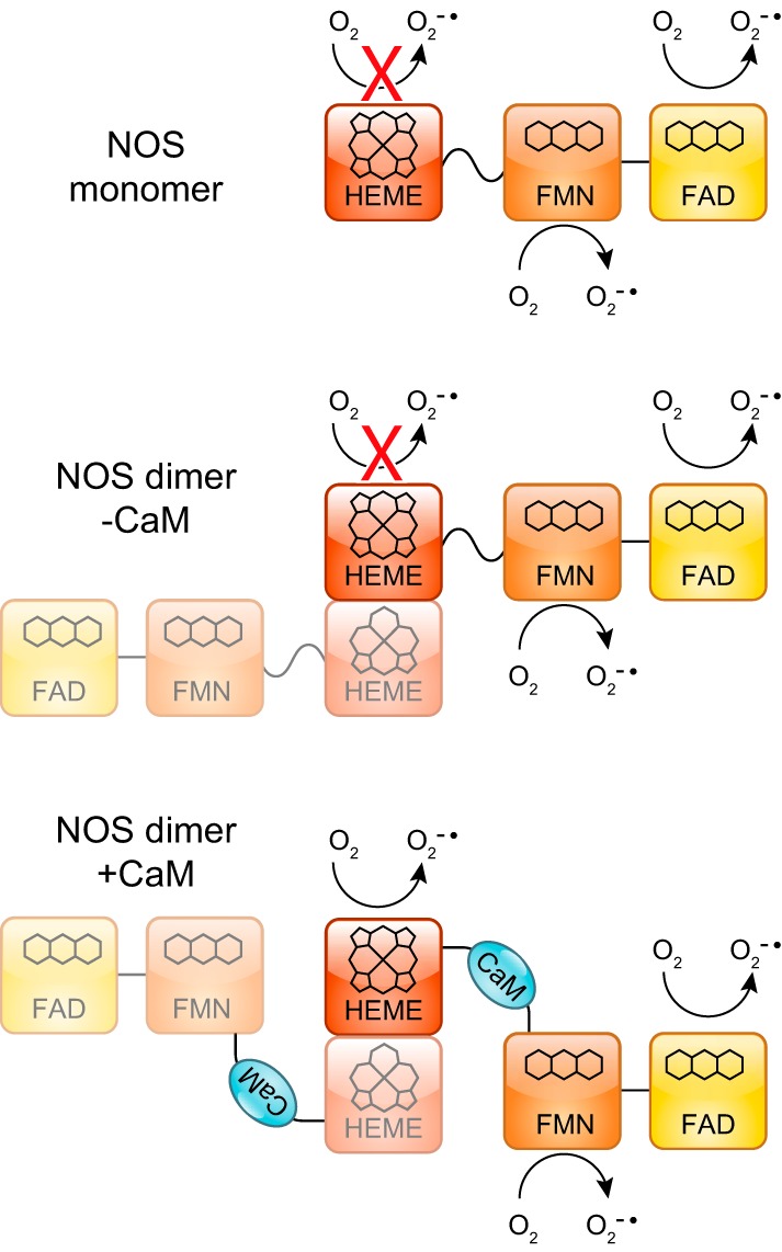 FIGURE 11.