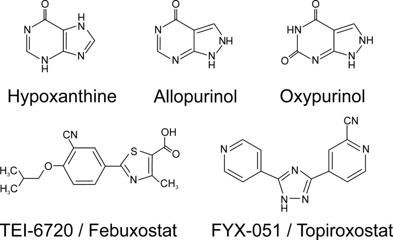 FIGURE 16.