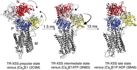 Fig. 4