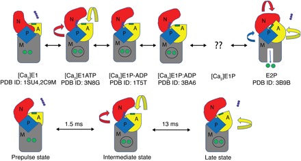 Fig. 6