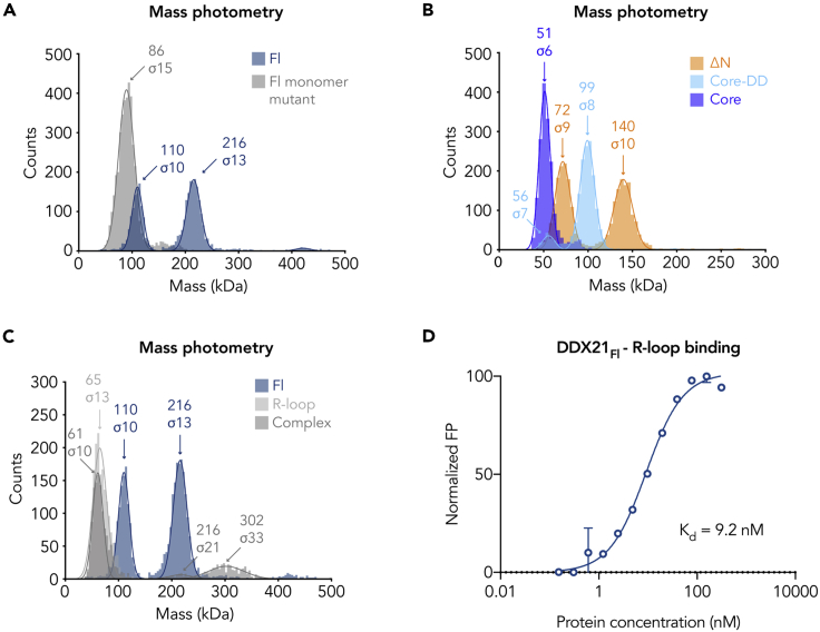 Figure 2