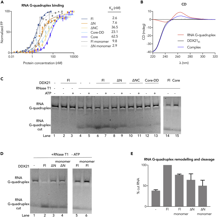 Figure 4