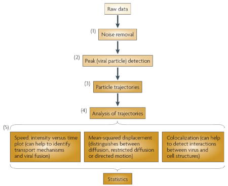 graphic file with name nihms88400u3.jpg