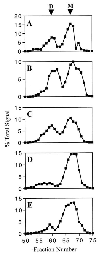 FIG. 5