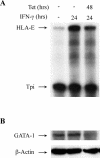 FIG. 8.