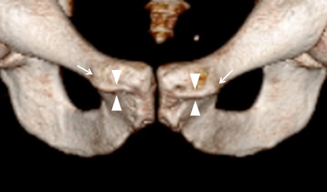 Fig. 5