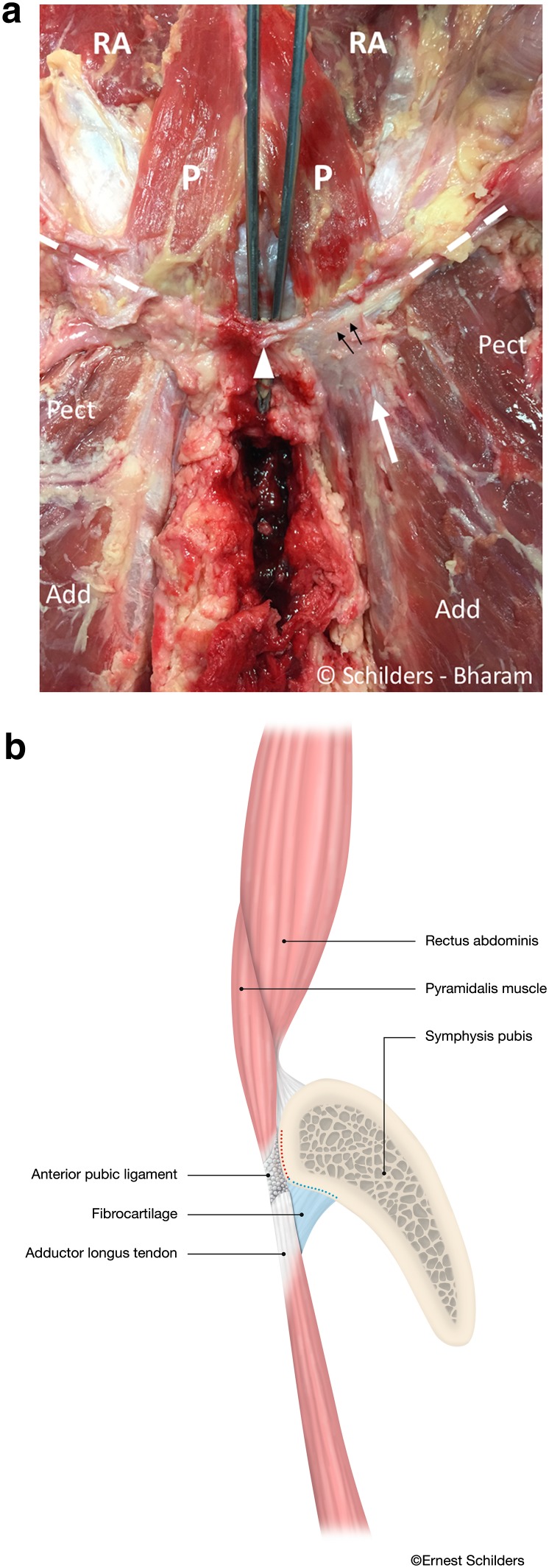 Fig. 4