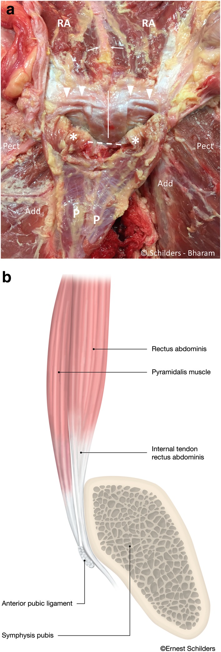 Fig. 6