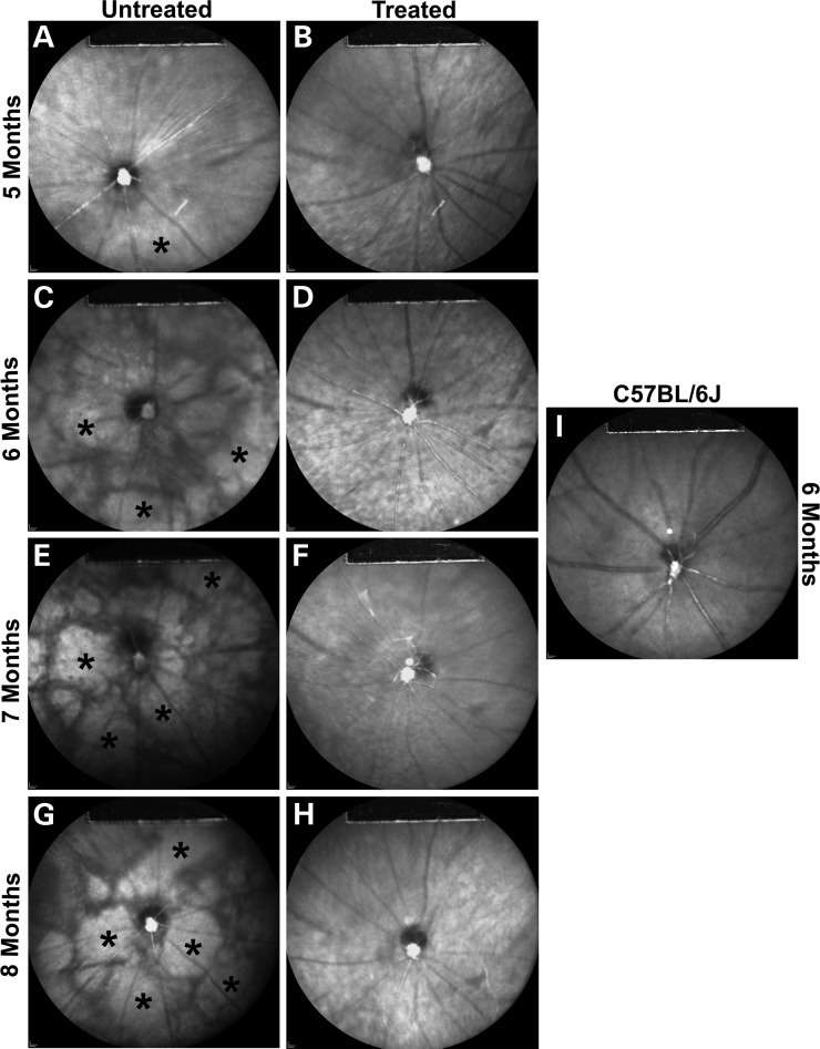 Figure 4.