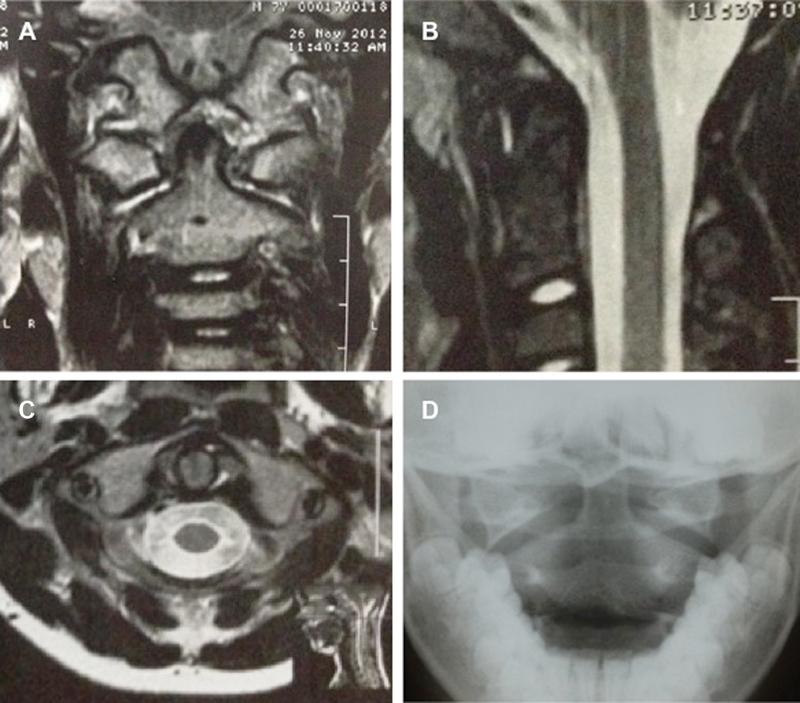 Fig. 5