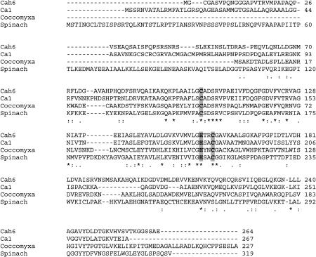 Figure 2.