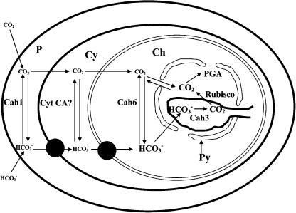 Figure 10.