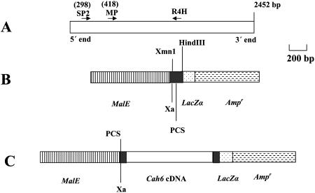 Figure 3.