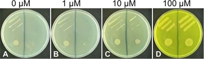 FIG 2