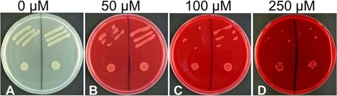 FIG 3