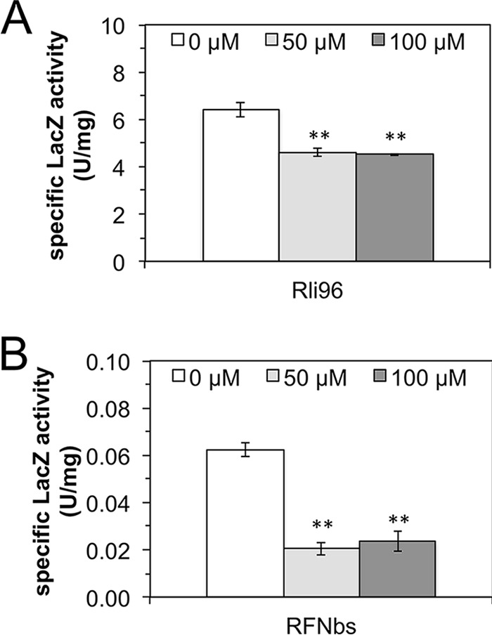 FIG 5