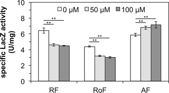 FIG 6