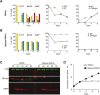 Fig 10