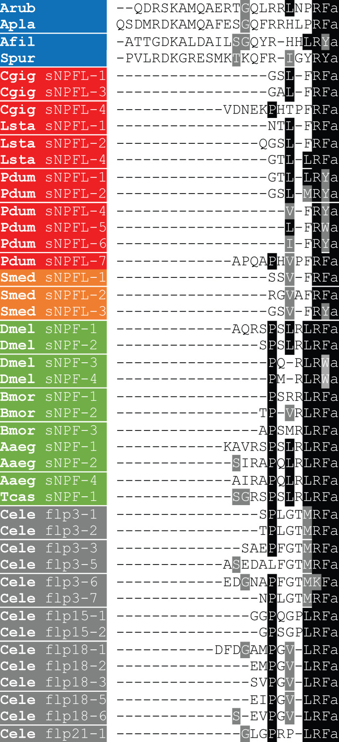 Figure 4—figure supplement 1.