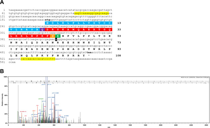 Figure 1—figure supplement 1.