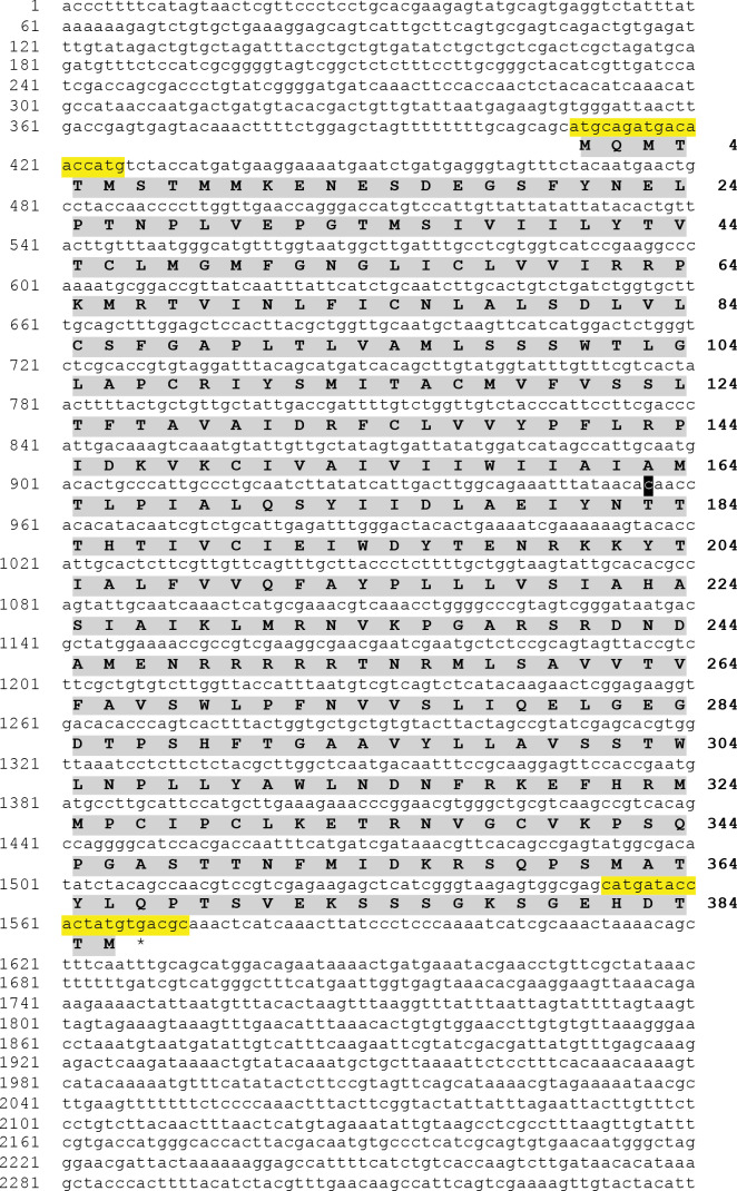 Figure 3—figure supplement 1.