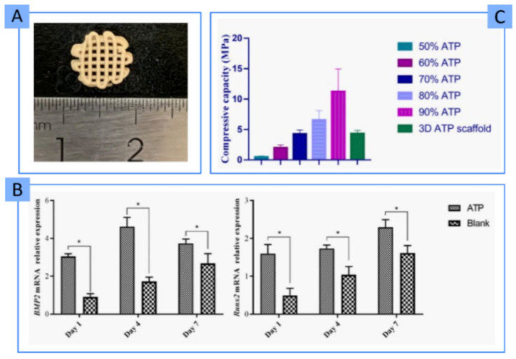 Figure 22