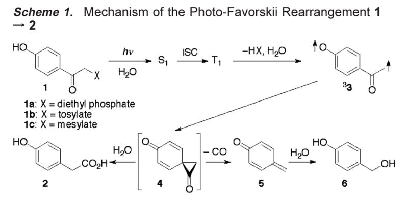 Scheme 1