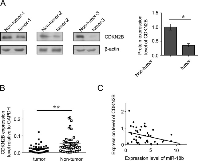 FIG 6