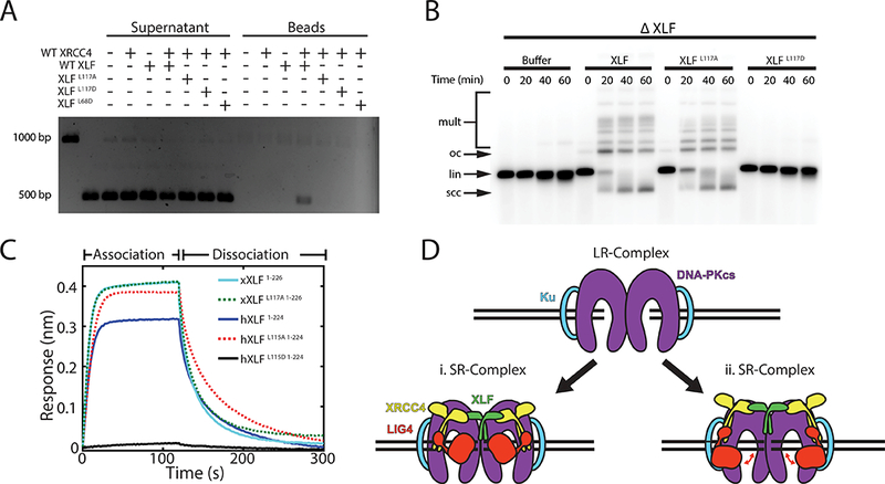 Figure 5: