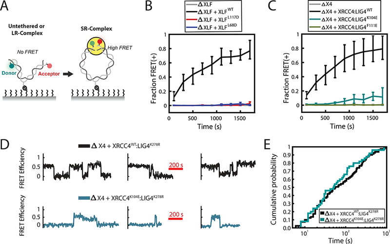 Figure 2: