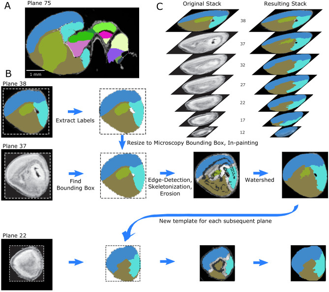 Figure 2—figure supplement 2.