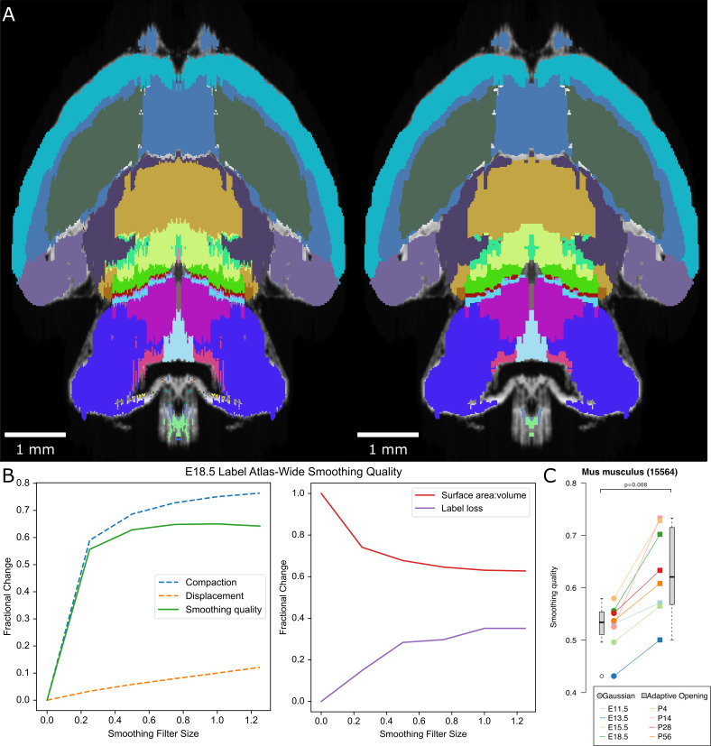 Figure 3—figure supplement 2.