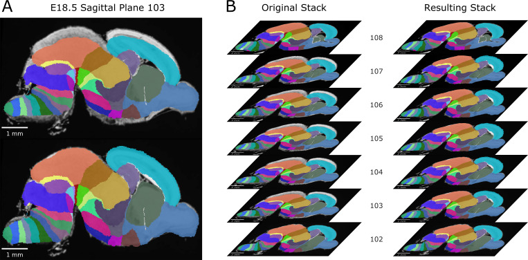 Figure 2—figure supplement 3.