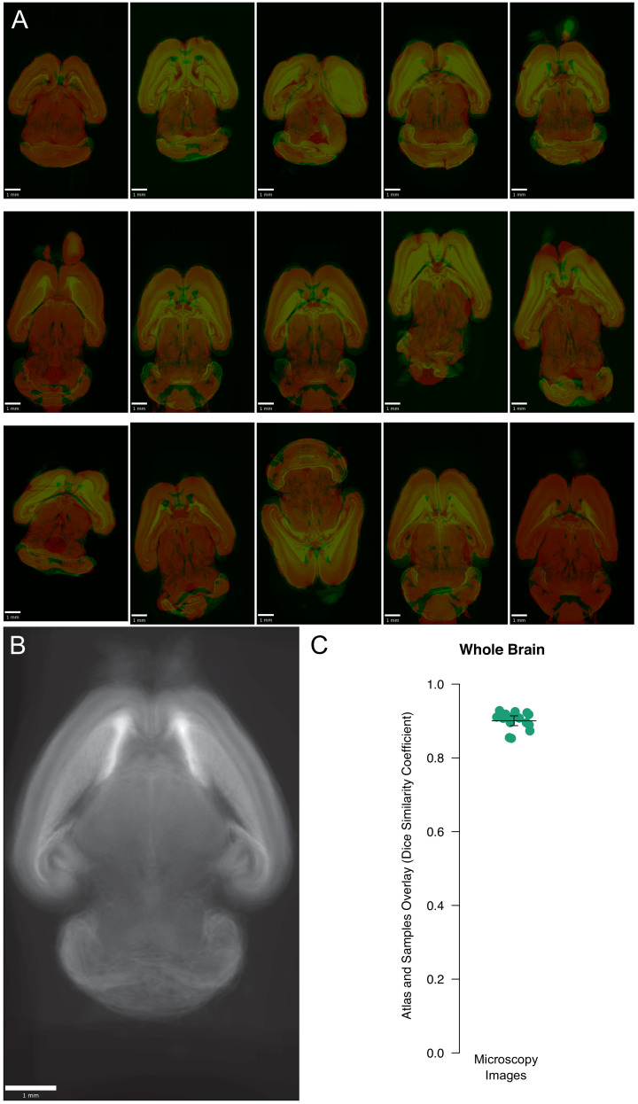 Figure 6—figure supplement 3.