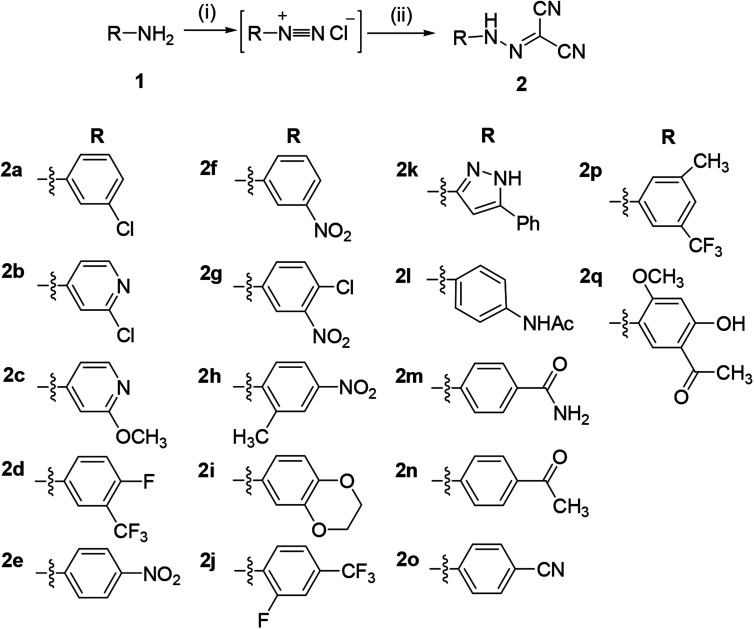 Scheme 1