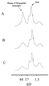 FIG. 3