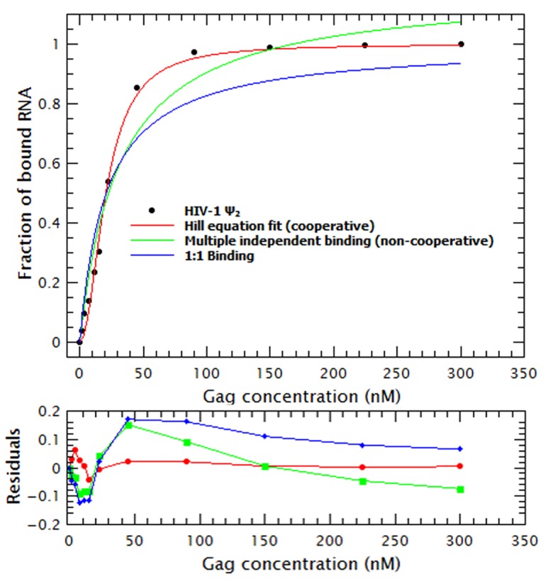 Figure 2—figure supplement 1.