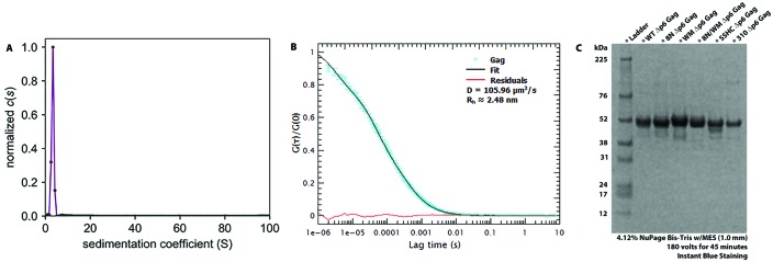 Figure 1—figure supplement 2.