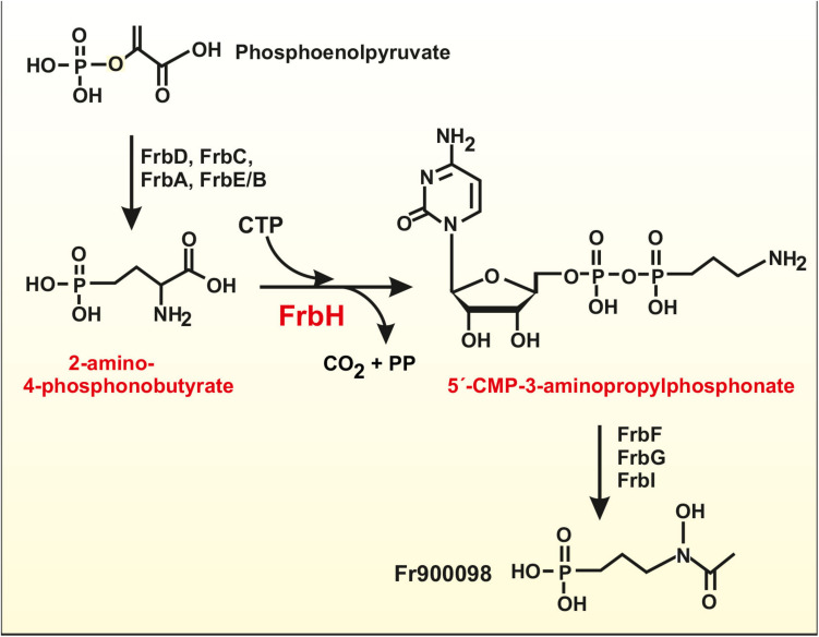 FIGURE 2