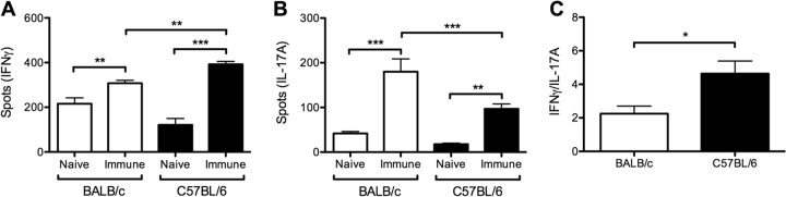 FIG 6