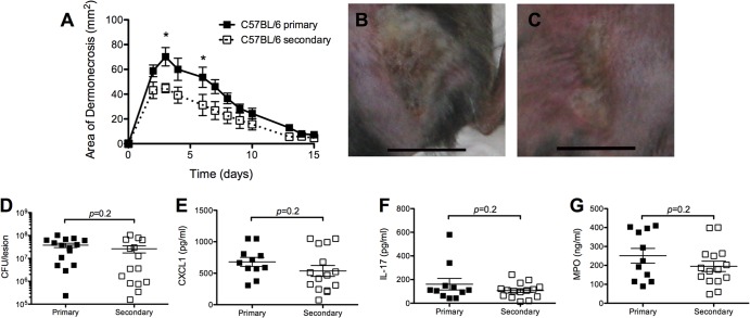 FIG 2