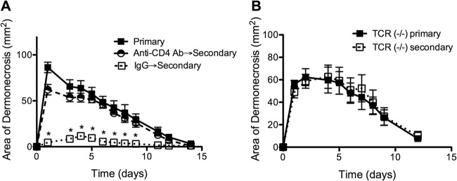 FIG 3