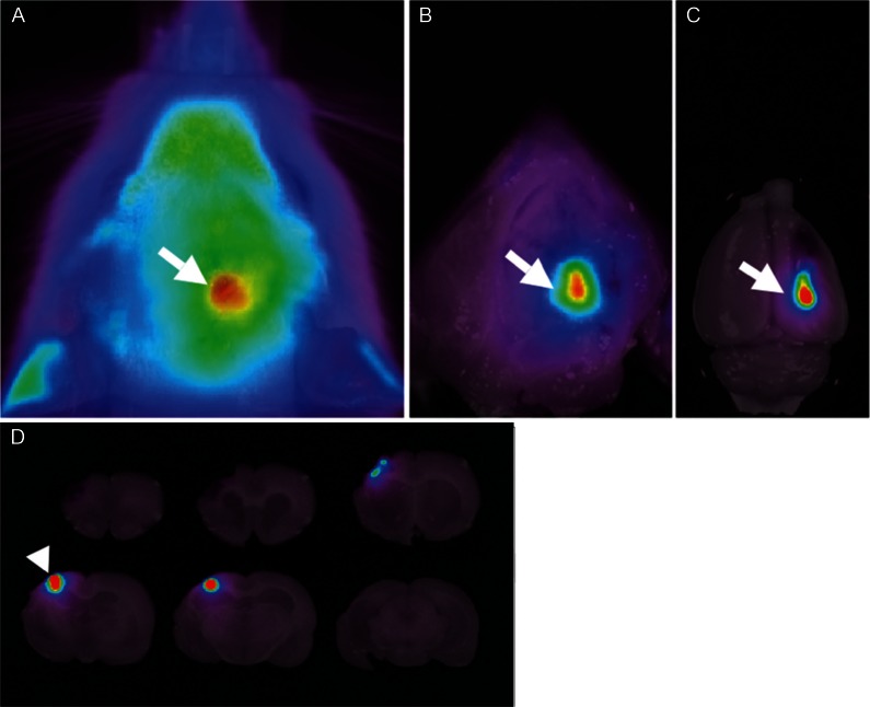 Fig. 4