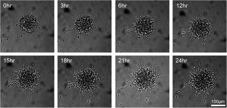 Figure 3