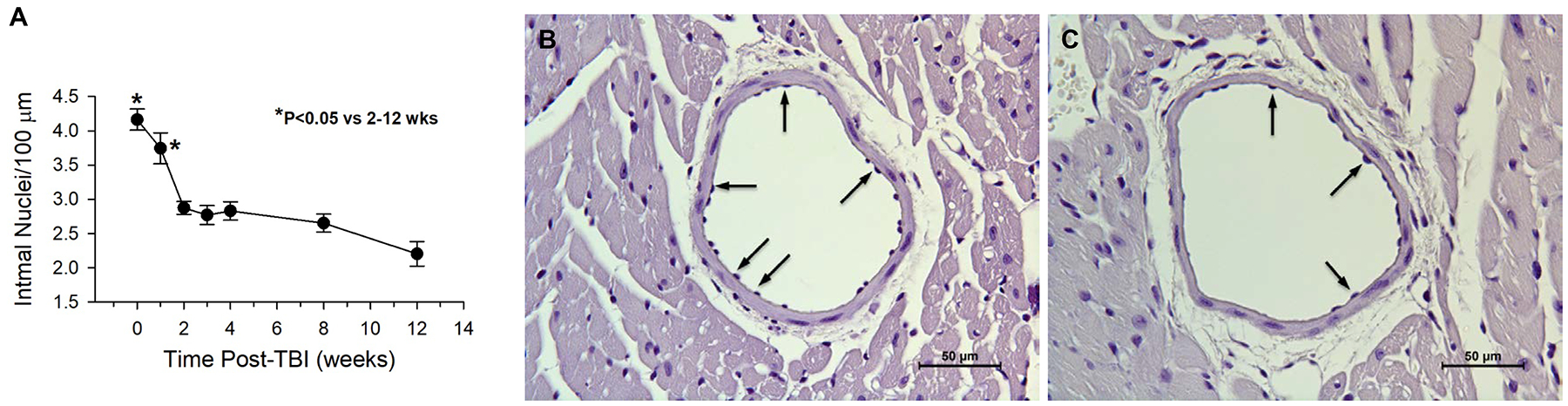 Fig 3.