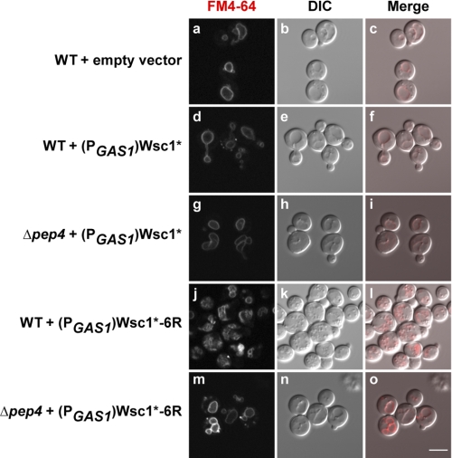 FIGURE 7.