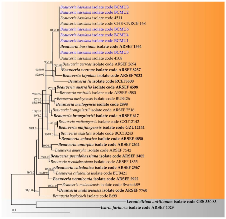 Figure 2